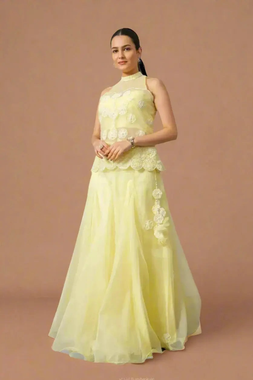 Women lemon yellow organza skirt and embroidered top set front view