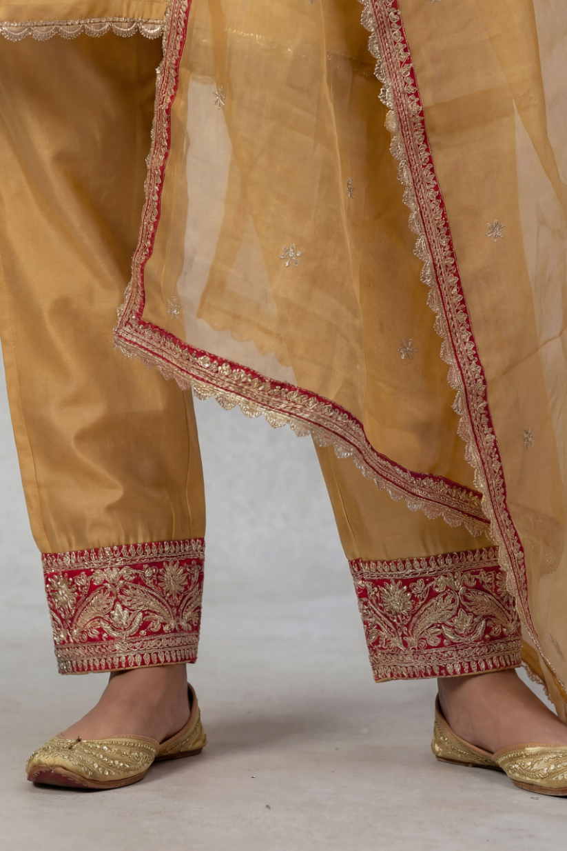 Detailed embroidered border design on mustard ethnic pants