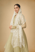 Olive Green Crushed Tissue Ethnic Suit for Women - The House of Indu