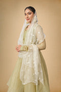 Olive Green Crushed Tissue Ethnic Suit for Women - The House of Indu