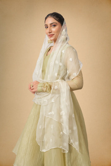 Olive green crushed tissue suit set with dupatta side view
