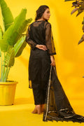 Organza Chikankari Suit Set with Bottom & Dupatta - The House of Indu