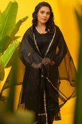 Organza Chikankari Suit Set with Bottom & Dupatta - The House of Indu