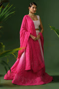 The Pink Chikankari Georgette Ombre Lehenga with Dupatta - The House of Indu