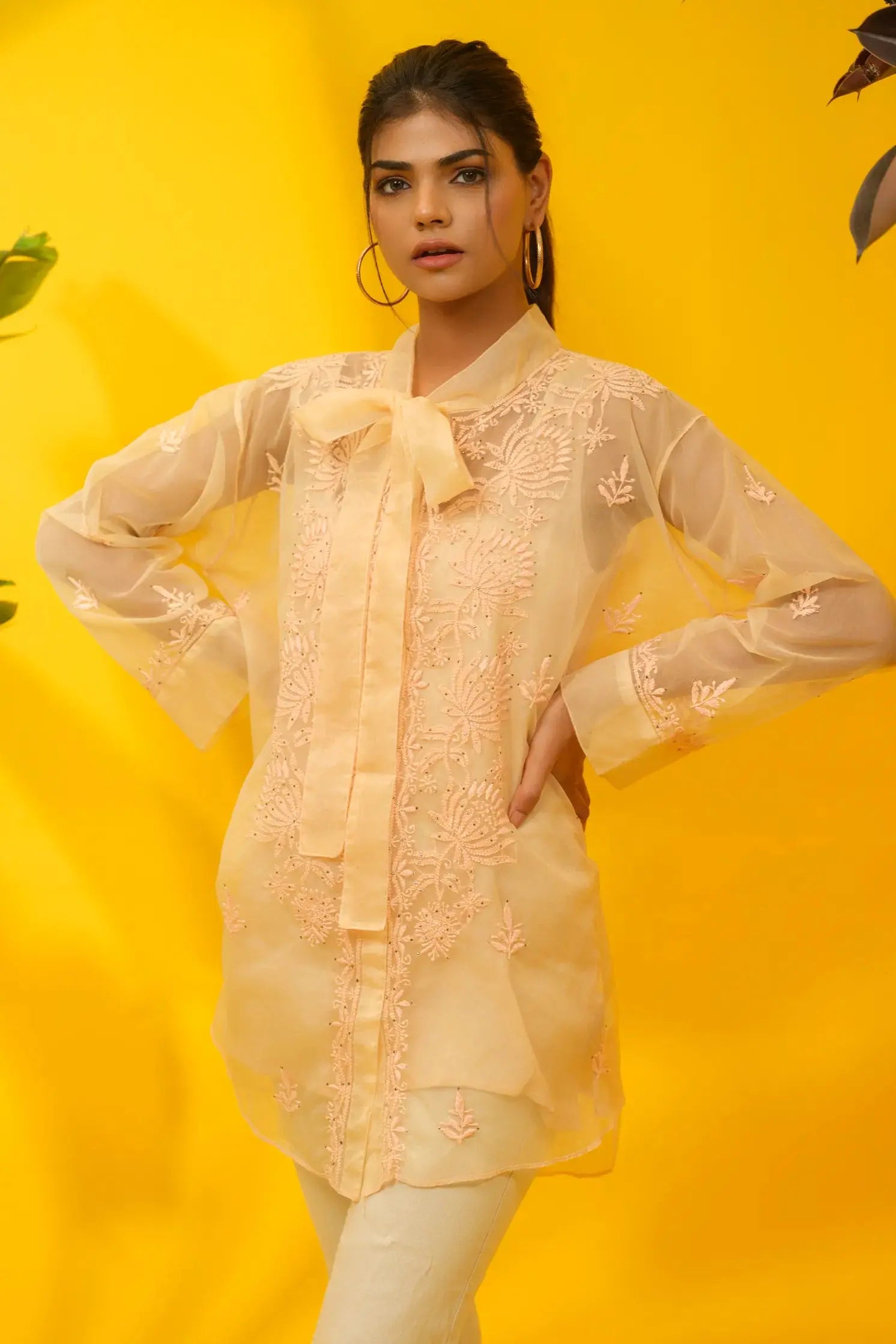 Organza Chikankari Shirt The House of Indu