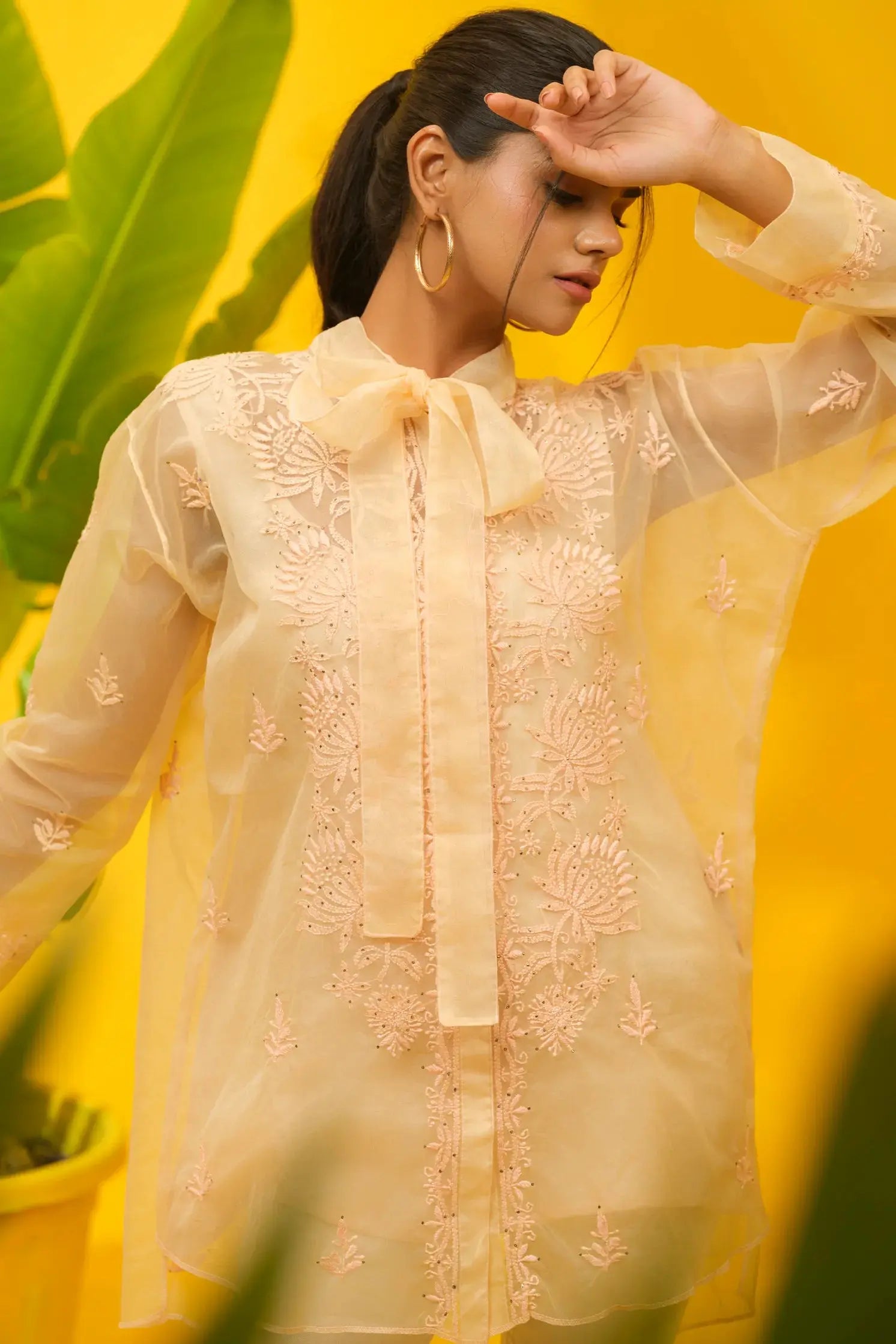 Organza Chikankari Shirt The House of Indu