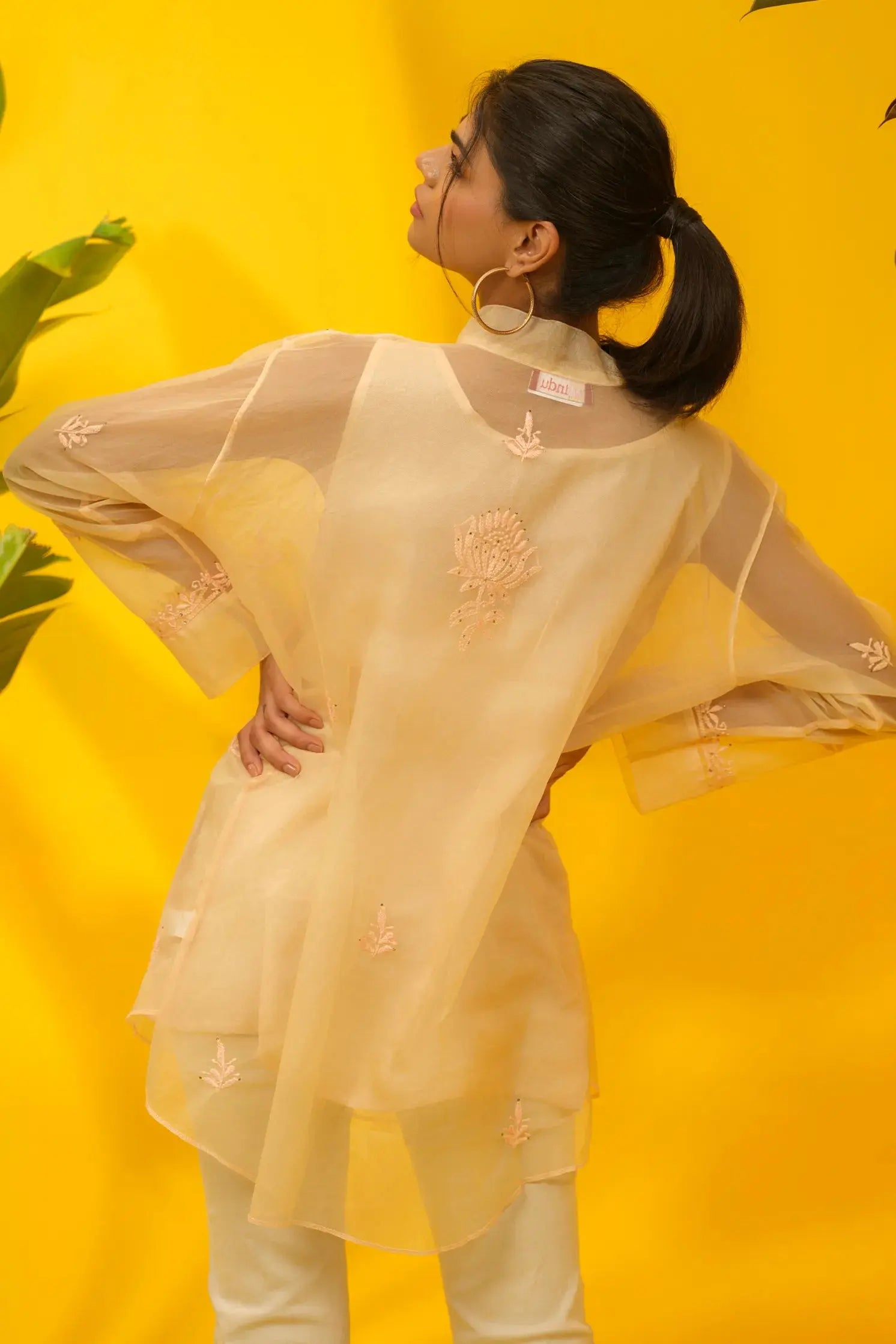 Organza Chikankari Shirt The House of Indu